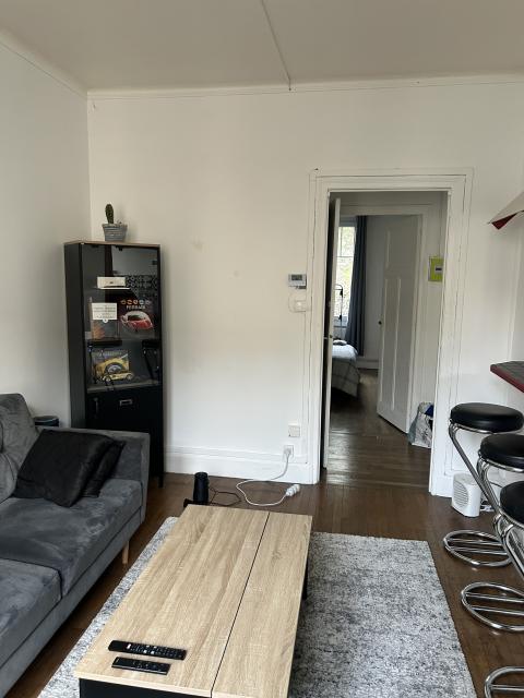 Location appartement T2 Nancy - Photo 3
