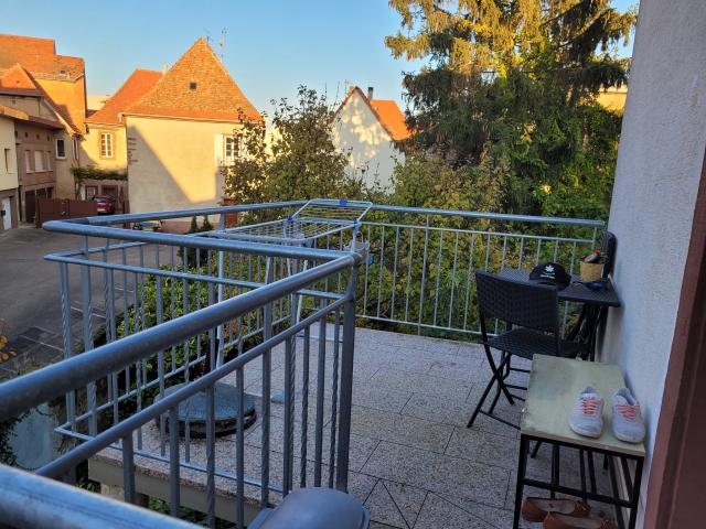 Location appartement T4 Haguenau - Photo 9