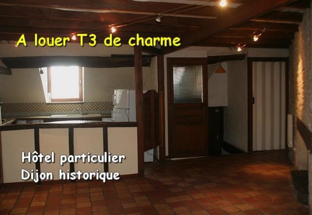 Location appartement T3 Dijon - Photo 2