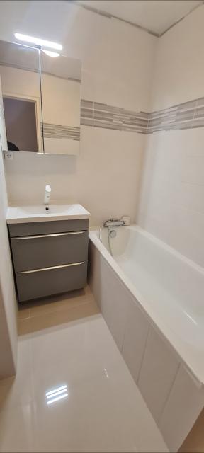Location appartement T3 Chennevieres sur Marne - Photo 5