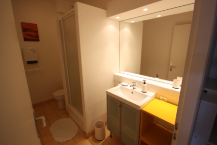 Location appartement T1 Toulouse - Photo 4