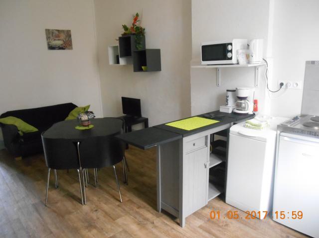 Location appartement T2 St Etienne - Photo 2