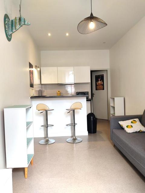 Location appartement T1 Toulouse - Photo 2