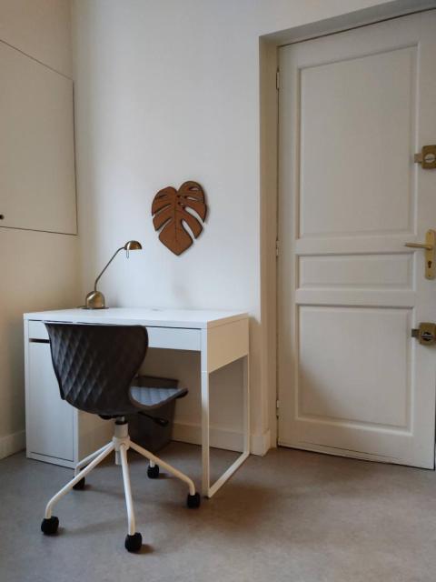 Location appartement T1 Toulouse - Photo 3