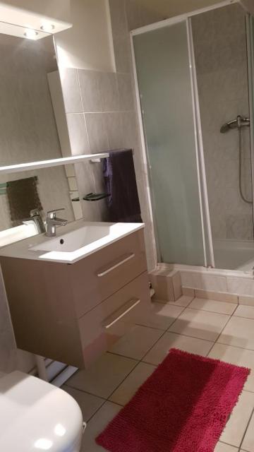 Location appartement T2 Vaulnaveys le Haut - Photo 3