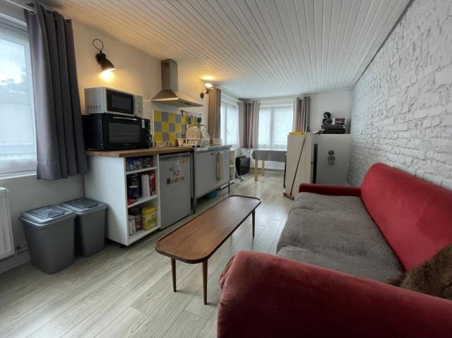 Location appartement T2 Roubaix - Photo 4