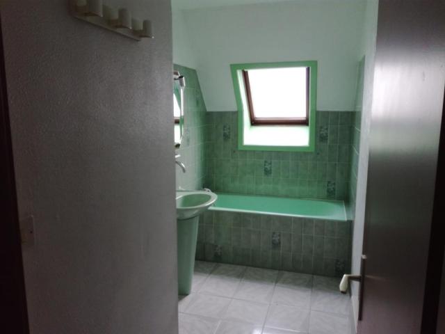 Location appartement T3 Schiltigheim - Photo 3