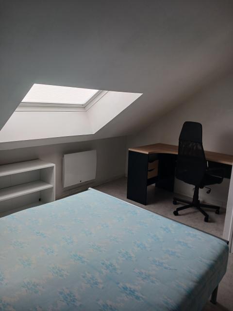Location appartement T2 Roubaix - Photo 5