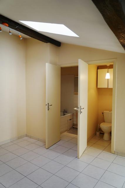 Location appartement T2 Lyon 5 - Photo 4