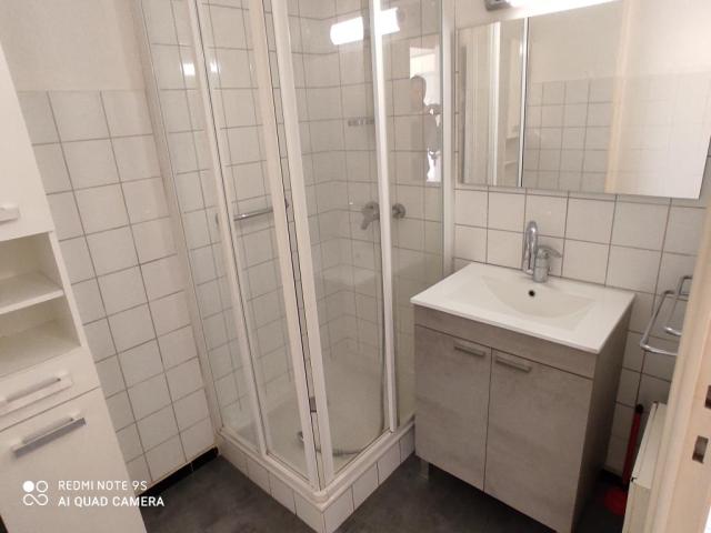 Location appartement T3 Grenoble - Photo 5