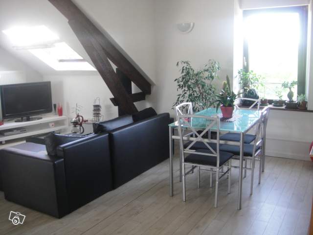 Location appartement T3 Thaon les Vosges - Photo 2