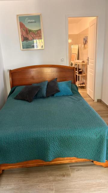 Location appartement T2 Afa - Photo 3
