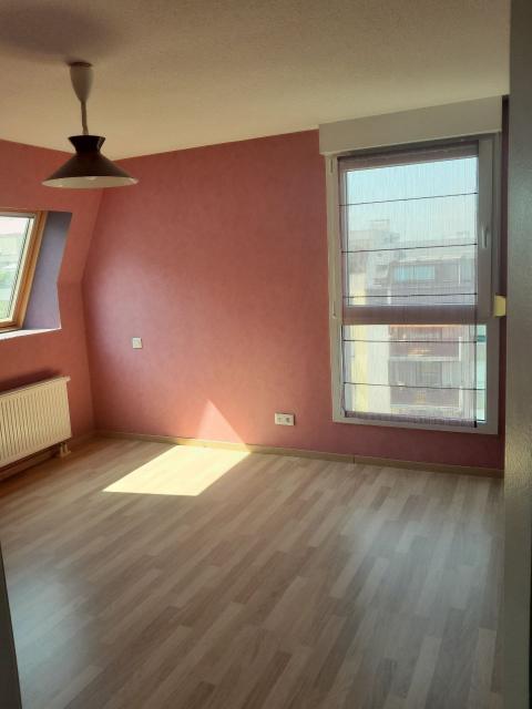 Location appartement T3 Strasbourg - Photo 3