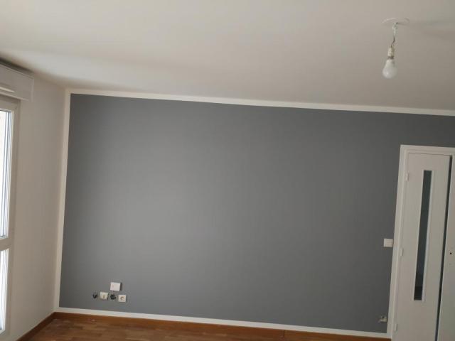 Location appartement T3 Lyon 8 - Photo 2