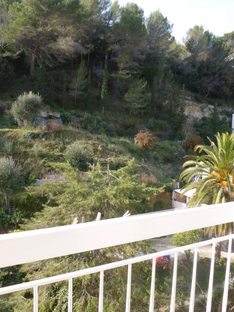 Location appartement T1 Nice - Photo 4