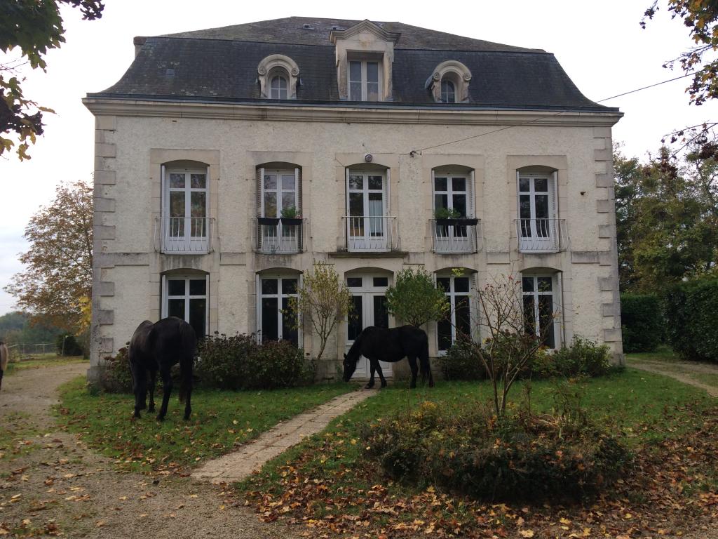 Location chambre St Georges les Baillargeaux - Photo 1
