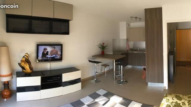 Location appartement T2 Ferney Voltaire - Photo 1