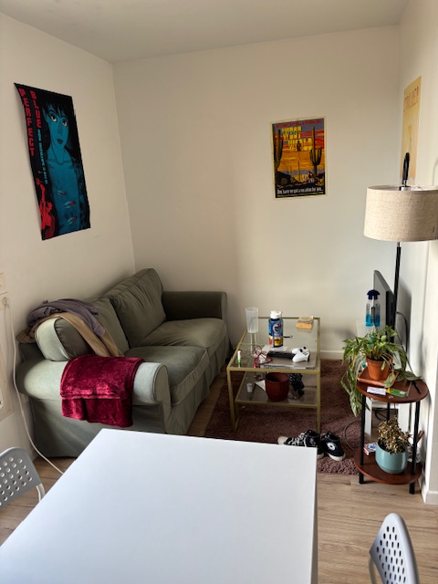 Location appartement T2 Thiais - Photo 4
