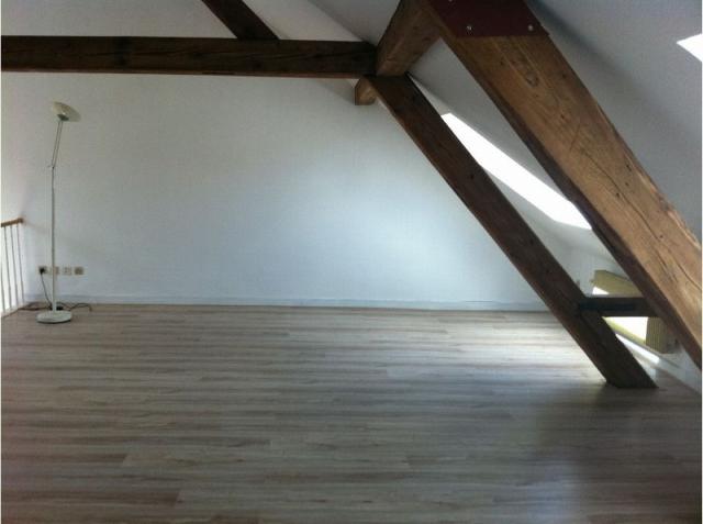 Location appartement T2 Mulhouse - Photo 3
