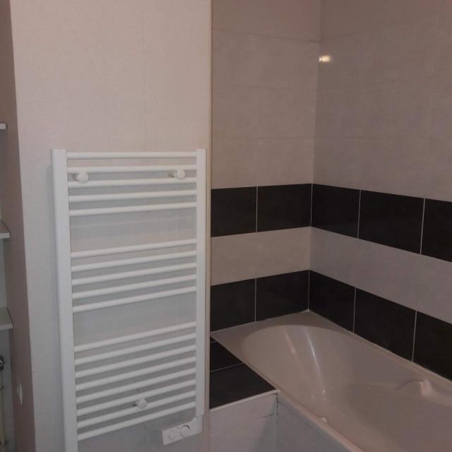 Location appartement T3 Toulouse - Photo 5