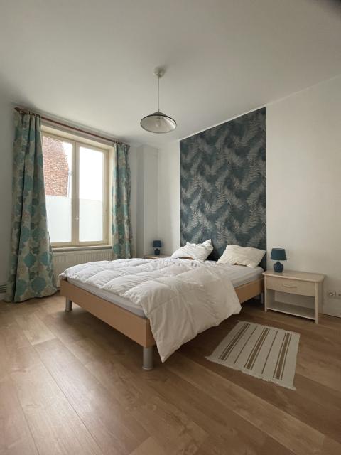 Location appartement T3 Lille - Photo 5