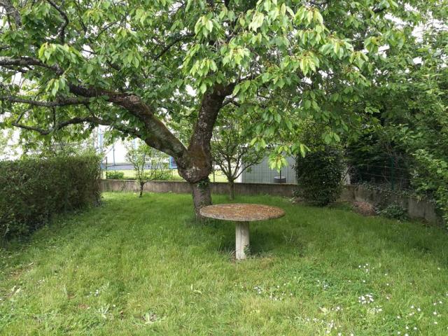 Location maison F4 Rouillon - Photo 9