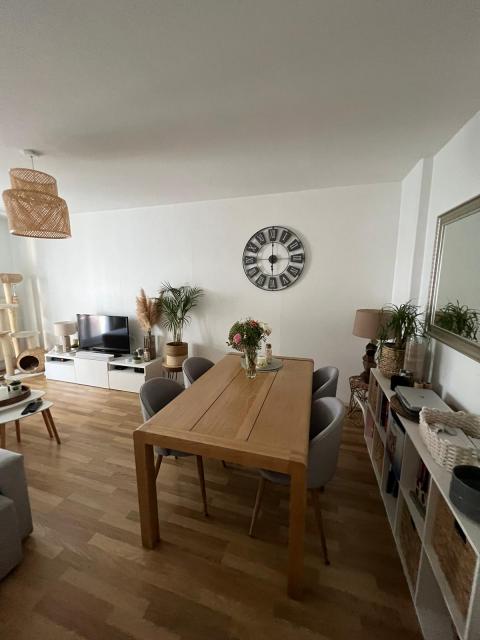 Location appartement T3 Strasbourg - Photo 7
