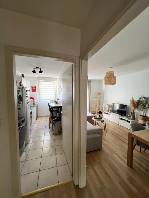Location appartement T3 Strasbourg - Photo 8