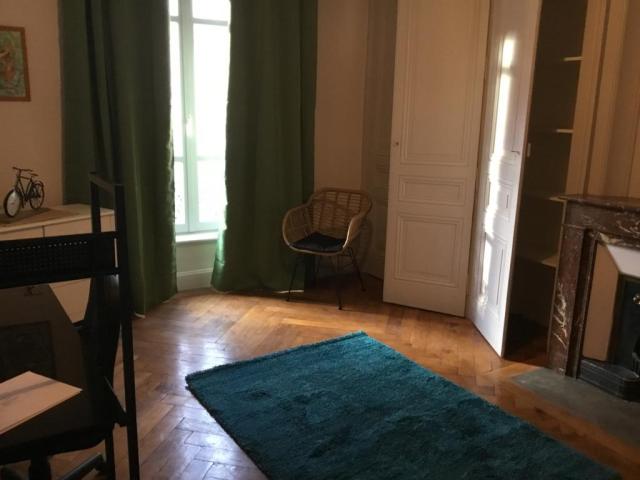 Location appartement T3 Lyon 7 - Photo 2