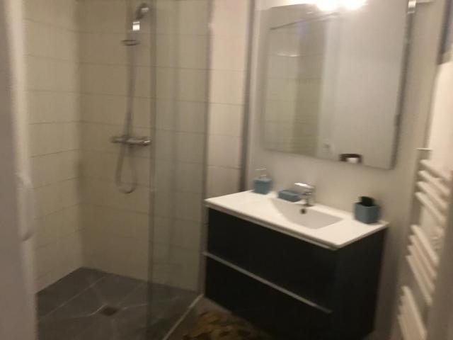 Location appartement T3 Lyon 7 - Photo 4