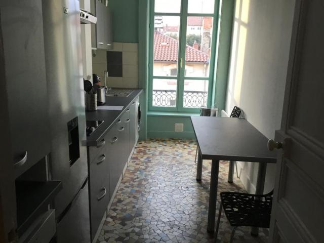 Location appartement T3 Lyon 7 - Photo 5