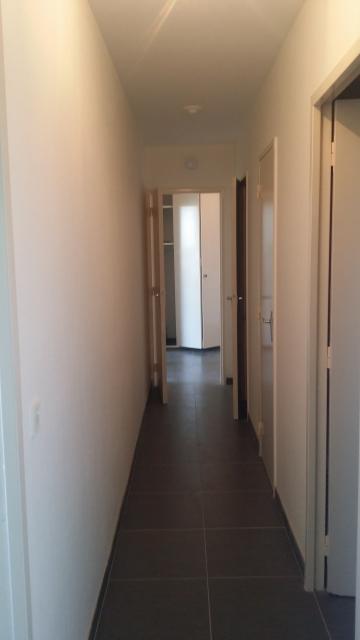 Location appartement T3 Champs sur Marne - Photo 4