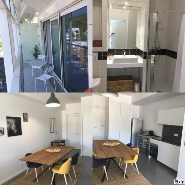 Location appartement T2 Lyon 2 - Photo 4