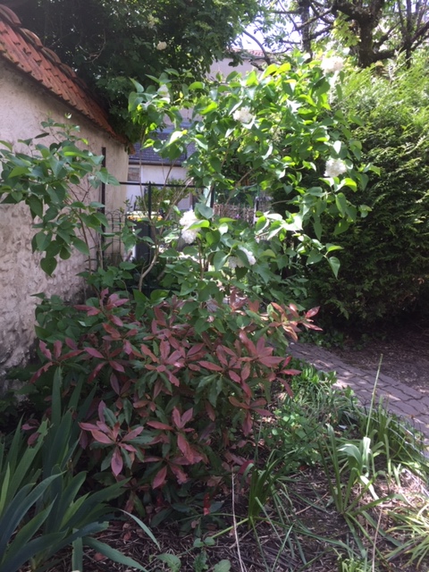 Location appartement T2 Orleans - Photo 6