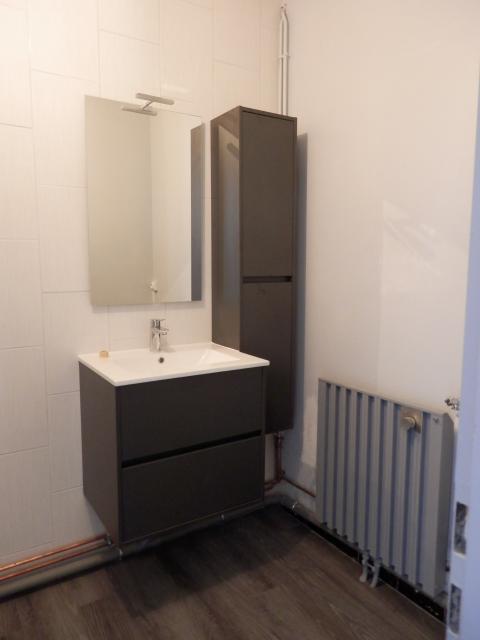 Location appartement T3 Colmar - Photo 5