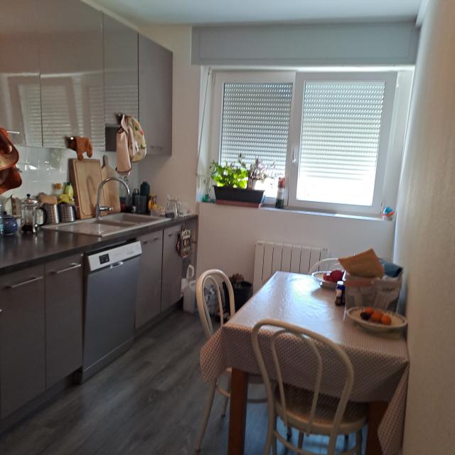 Location appartement T3 Colmar - Photo 6