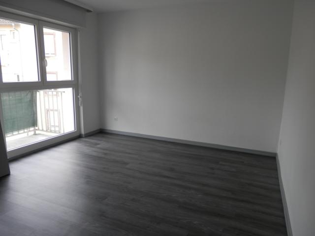 Location appartement T3 Colmar - Photo 7