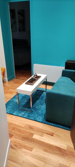 Location appartement T2 Paris 01 - Photo 1