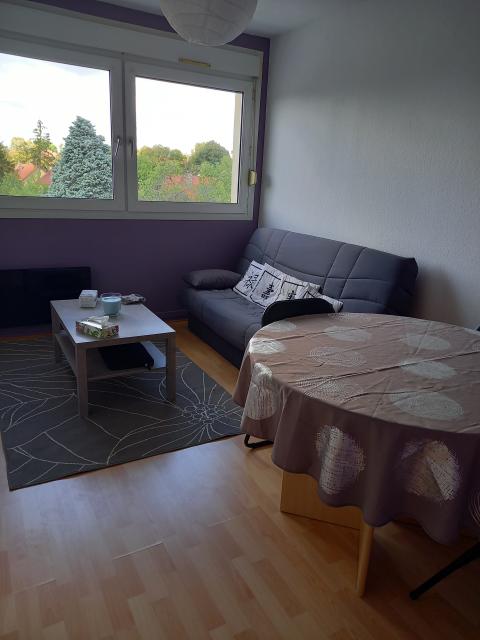 Location appartement T2 Sarreguemines - Photo 4