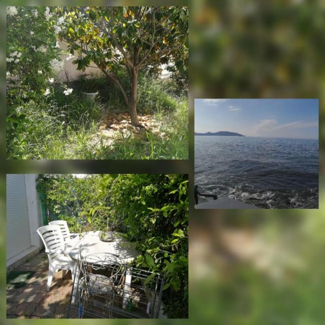 Location appartement T2 La Ciotat - Photo 3