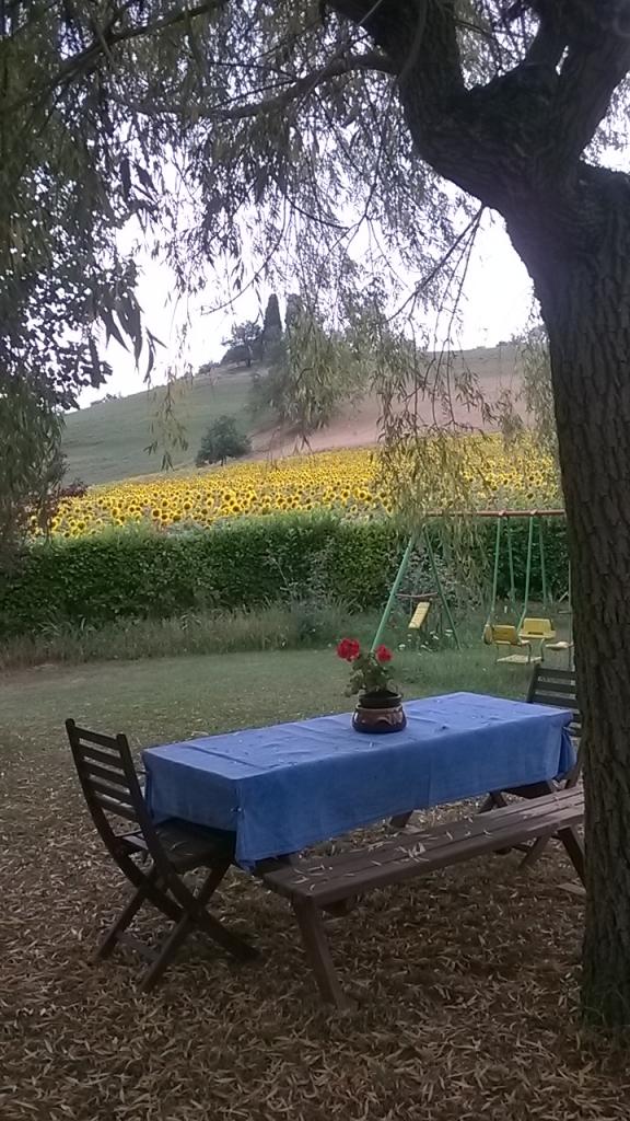 Location chambre Puylaurens - Photo 2