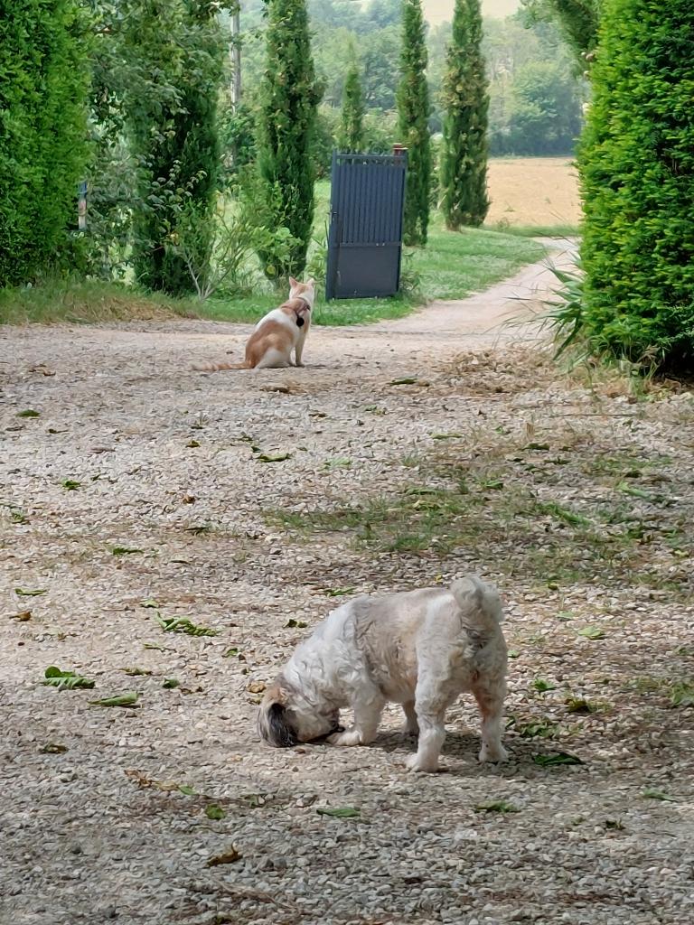 Location chambre Puylaurens - Photo 3