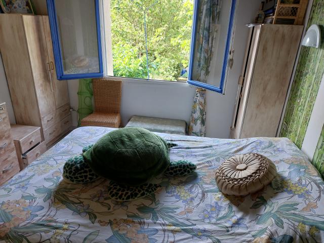 Location chambre Puylaurens - Photo 8