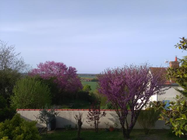 Location chambre Montreuil Bellay - Photo 7
