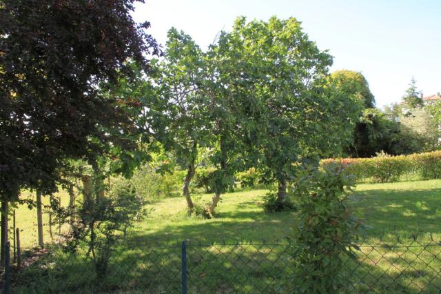 Location maison F4 Verfeil - Photo 10