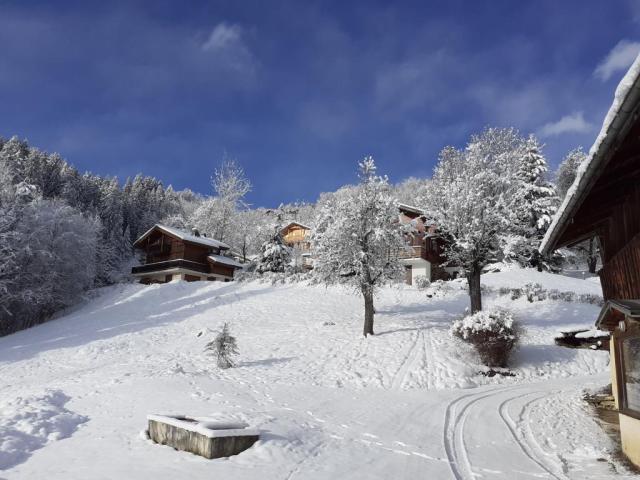 Location appartement T3 St Gervais les Bains - Photo 10