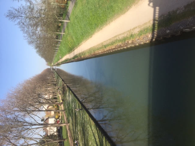 Location appartement T2 Aulnay sous Bois - Photo 4