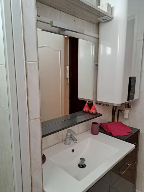 Location appartement T3 Grenoble - Photo 3