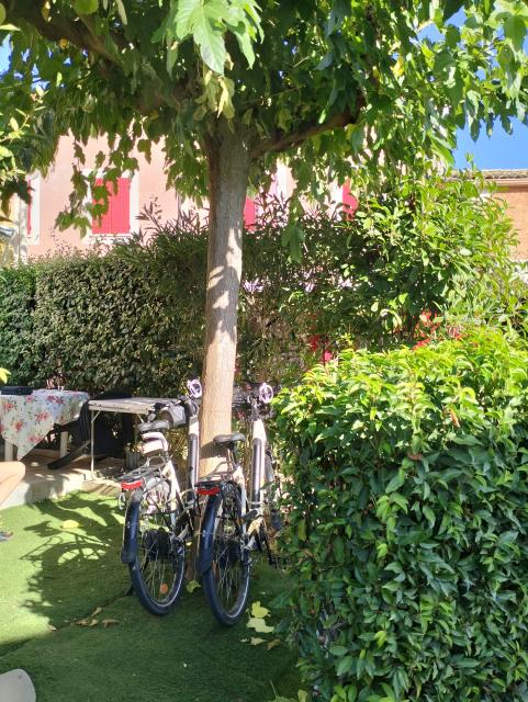 Location maison F3 Beziers - Photo 5