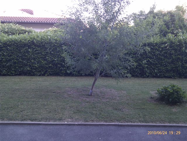 Location studio Ramonville St Agne - Photo 4